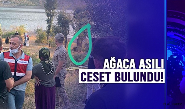 Ağaca asılı ceset bulundu