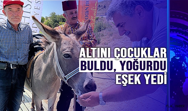 Altını Çocuklar Buldu, Yoğurdu Eşek Yedi