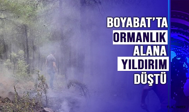 ORMANLIK ALANDA YANGIN ÇIKTI