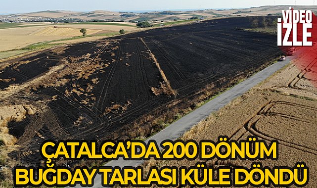Çatalca'da 200 dönümlük buğday tarlası alev alev yandı