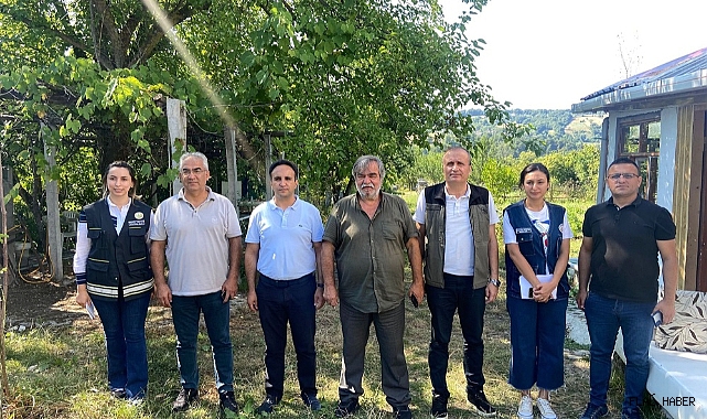 Gerze’de Bal Ormanı Kurulacak