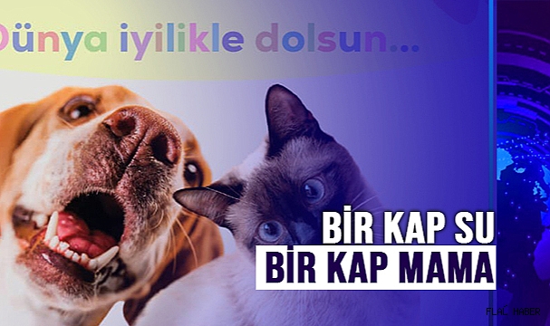 HAYDİ SİNOP!