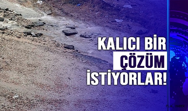 KALICI BİR ÇÖZÜM İSTİYORLAR!