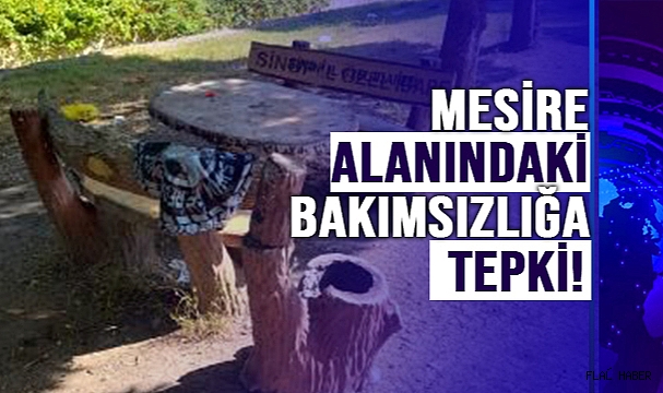 MESİRE ALANINDAKİ BAKIMSIZLIĞA TEPKİ!