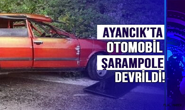 OTOMOBİL ŞARAMPOLE DEVRİLDİ