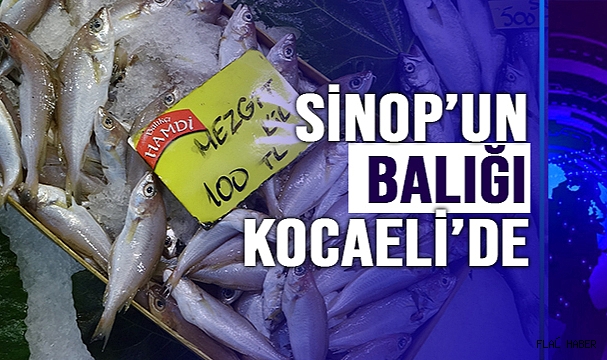 Sıcak havaya rağmen balık tüketimi azalmadı