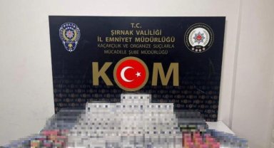 Şırnak'ta asayiş ve kaçakçılık operasyonu: 33 gözaltı