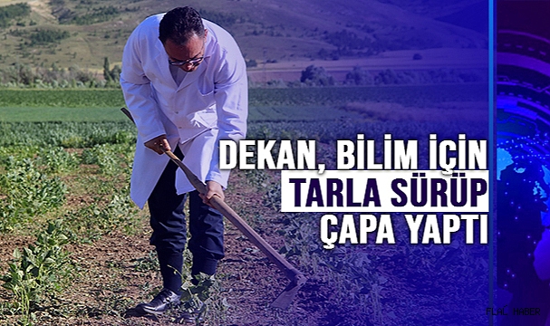 Traktör Koltuğuna Geçen Dekan, Bilim İçin Tarla Sürüp Çapa Yaptı