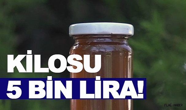 TÜRKİYE'DE DE KULLANILIYOR!