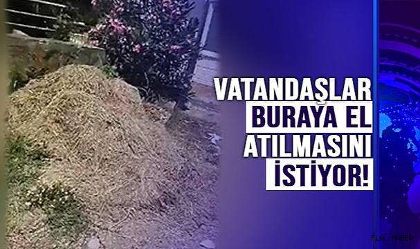 VATANDAŞLAR BURAYA EL ATILMASINI İSTİYOR!