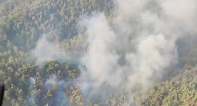Çanakkale’deki orman yangını havadan görüntülendi