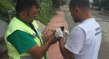 Canik Belediyesi can dostların yanında