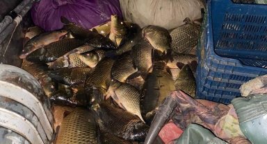 Kaçak balık avcılarına suçüstü baskın