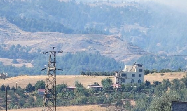 Kahramanmaraş'ta orman yangını