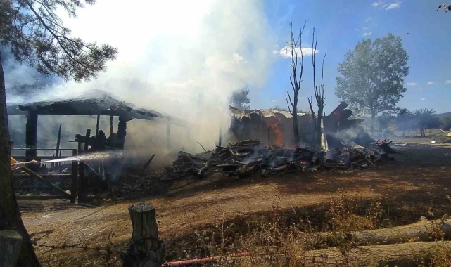 Kastamonu'da çıkan yangında ahır, samanlık ve bin 500 balya saman kül oldu