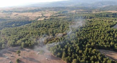Kastamonu'da orman yangını kontrol altına alındı