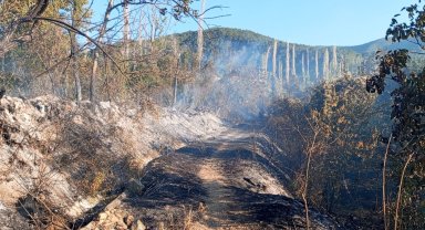 Kaynaktan çıkan kıvılcım bahçe ve üzüm bağlarını kül etti