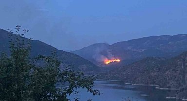 Laçin'de orman yangını