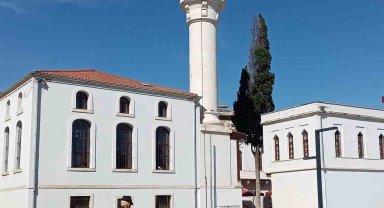 Plastik hayat 'yalnız' yapıyor