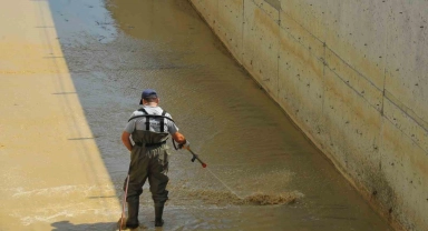 Samsun'da vektörlerle mücadele