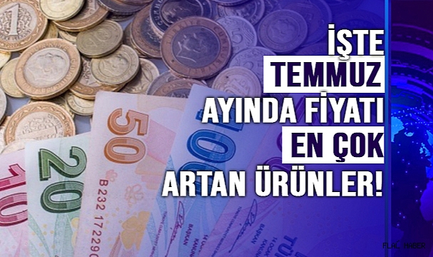 TEMMUZ AYINDA EN FAZLA FİYAT ARTIŞI HANGİ ÜRÜNLERDE YAŞANDI?