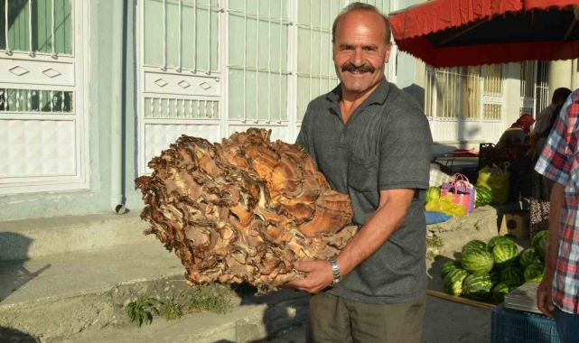 37 Kiloluk mantar buldu: Kilogramını 40 liraya satıyor