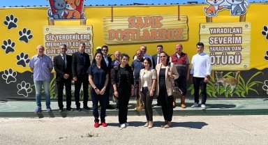 Artan yemekler sokak hayvanlarına bırakılıyor