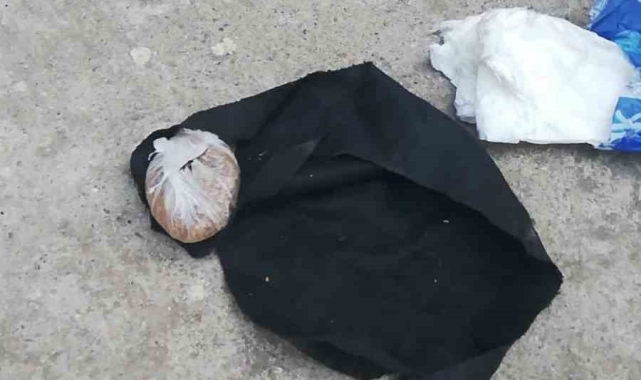 Asma sundurması içinde bonzai ticareti
