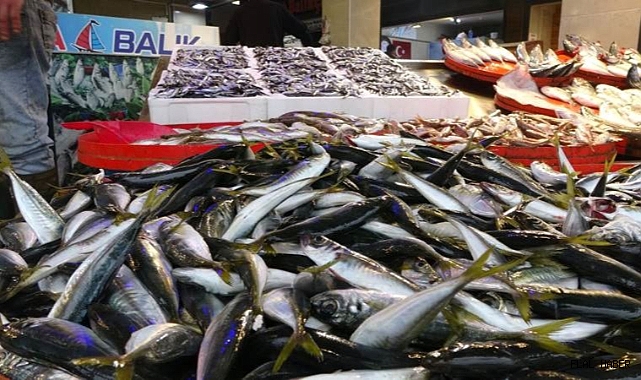 Balık çeşidi az olunca fiyatlar yükseldi