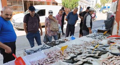Balıkçı tezgahının bu sezonki starı 'hamsi'