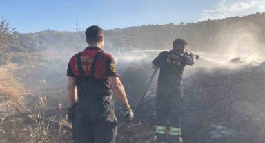 Bodrum'da makilik alanda yangın