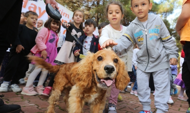 Canik'te can dostları için fotoğraf yarışması