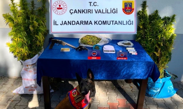 Çankırı'da uyuşturucu operasyonu: 2 gözaltı