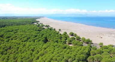 Çarşamba'ya 'Baykuş Orman Okulu'