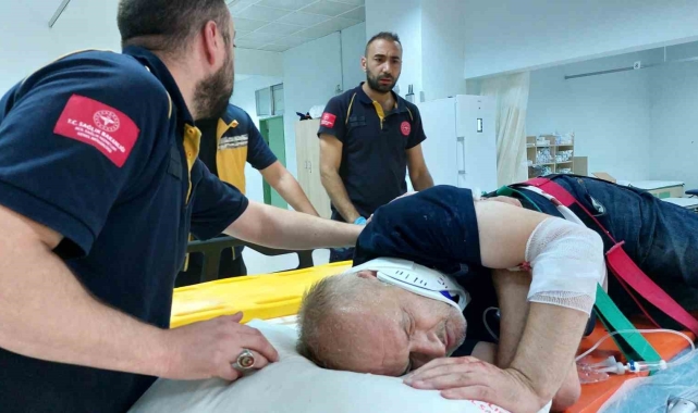 Çıktığı ağaçta 8 metre yükseklikten düşen öğretmen yaralandı