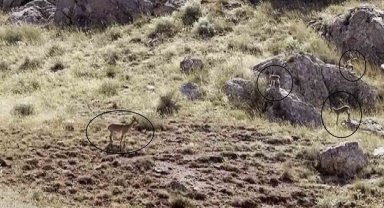 "Dünyanın en güzel manzarası" diyerek kayda aldı
