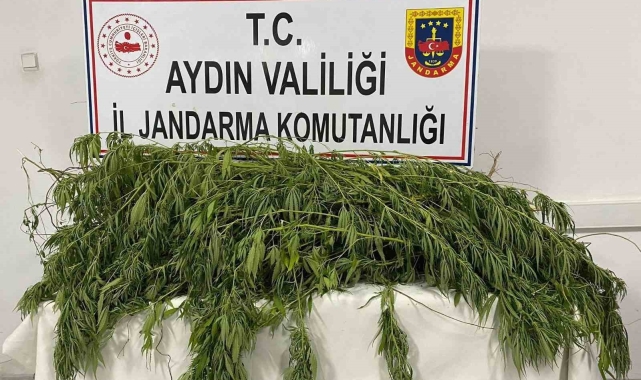 Germencik'te uyuşturucu operasyonu