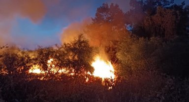 Hatay'da ağaçlık alan yangını söndürüldü