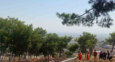 Hatay'da ormanlık alandaki örtü yangını söndürüldü