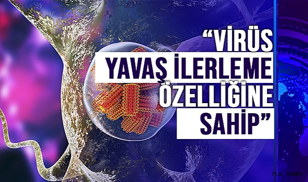 “Her yıl 60.000’den fazla insan ölüyor”