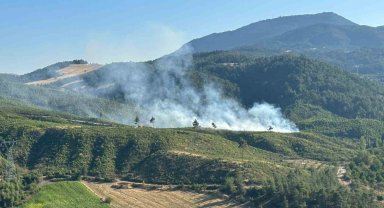 Honaz'daki orman yangını kontrol altına alındı