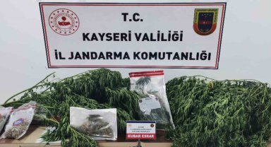 Jandarmadan bağ evine uyuşturucu operasyonu