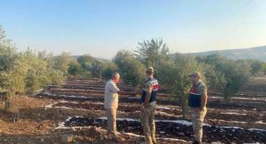 Jandarmadan üzüm nöbeti