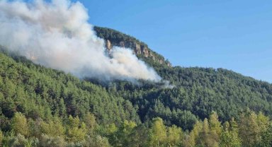 Karabük'te orman yangını