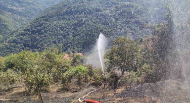 Kastamonu'da anız yangını ormana sıçramadan söndürüldü