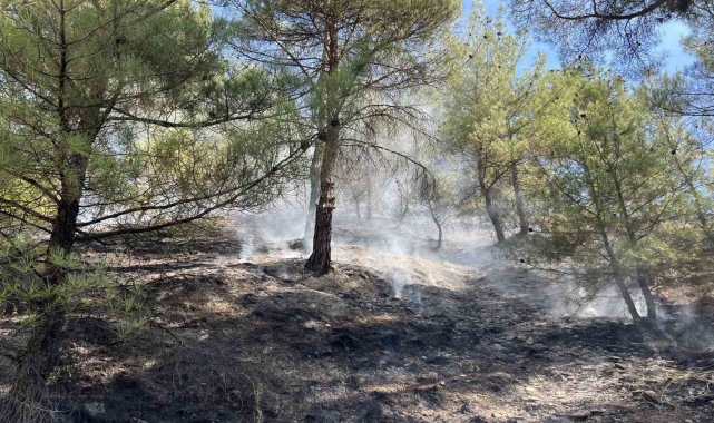 Kastamonu'da orman yangını: Ekiplerin müdahalesi ile kısa sürede söndürüldü
