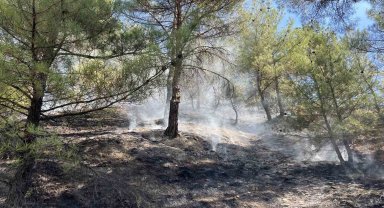 Kastamonu'da orman yangını: Ekiplerin müdahalesi ile kısa sürede söndürüldü