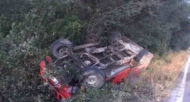 Kastamonu'da yola çıkan ceylana kamyonet çartı: 2 yaralı