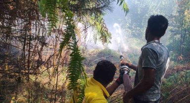 Kastamonu'daki orman yangını büyümeden söndürüldü