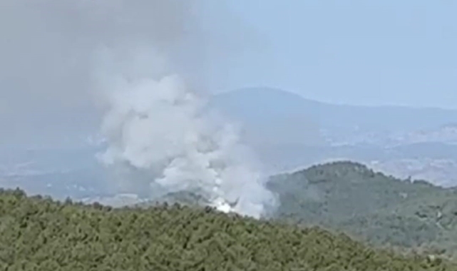 Kütahya'da orman yangını